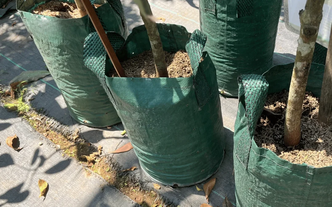 Urban Plastic Planter Bag