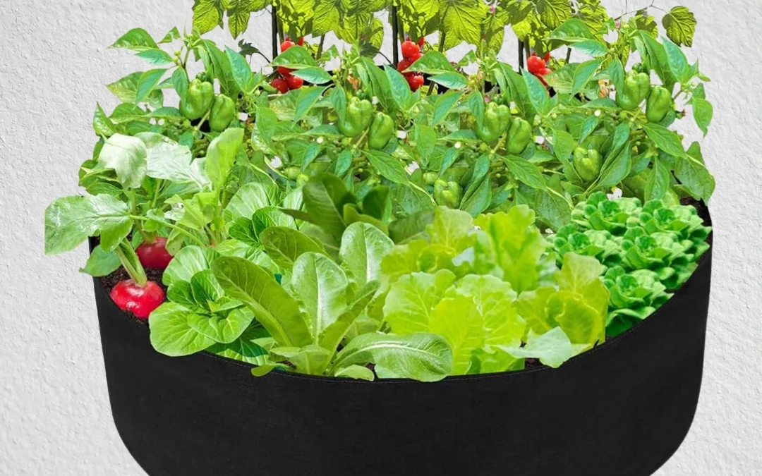 Urban Plastic Non Woven Raised Bed
