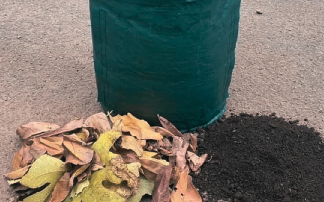 Compost bag