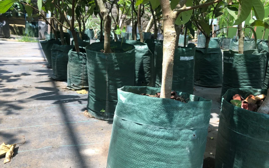 Indonesia Planter Bag Factory for Darwin, Northern Territory, Australia Market