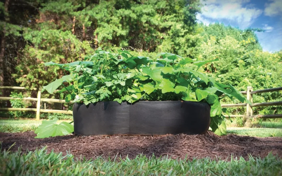 raised bag