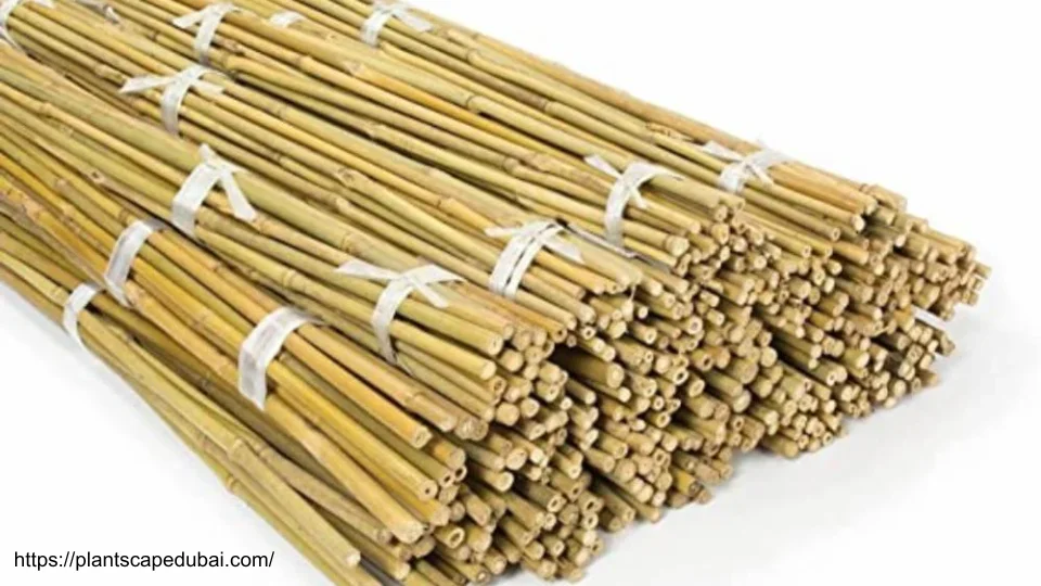 Bamboo Stake