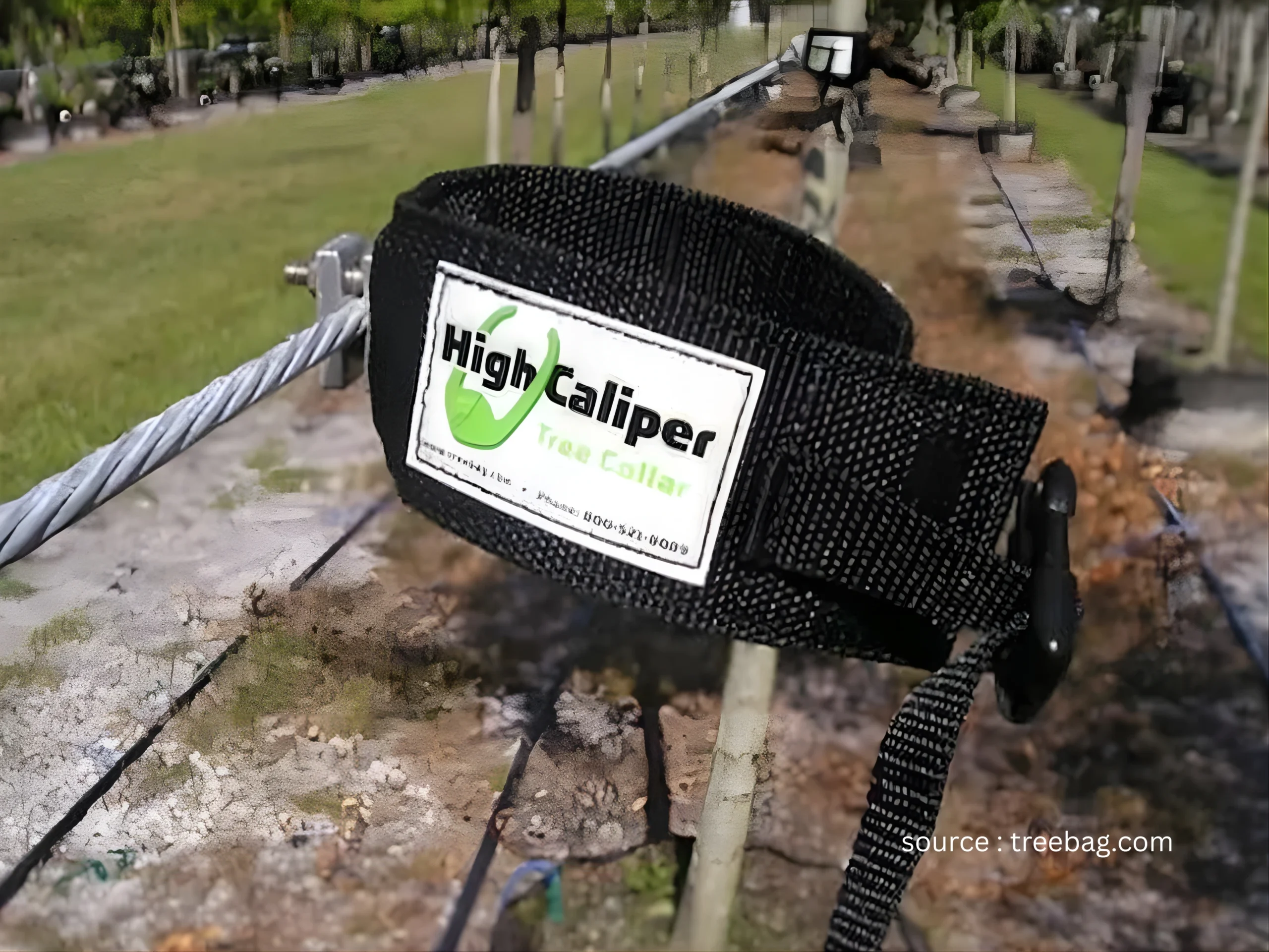 urban plastic tree collar